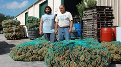 Comment ça marche ? Caravans, Tuning Forks