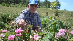 Comment ça marche ? Steel, Wool, Kiteboards