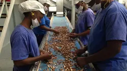 Comment ça marche ?