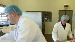 Comment ça marche ? Caravans, Tuning Forks