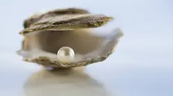 Comment ça marche ? S15E20