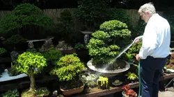 Comment ça marche ? Steel, Wool, Kiteboards