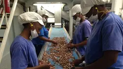 Comment ça marche ?