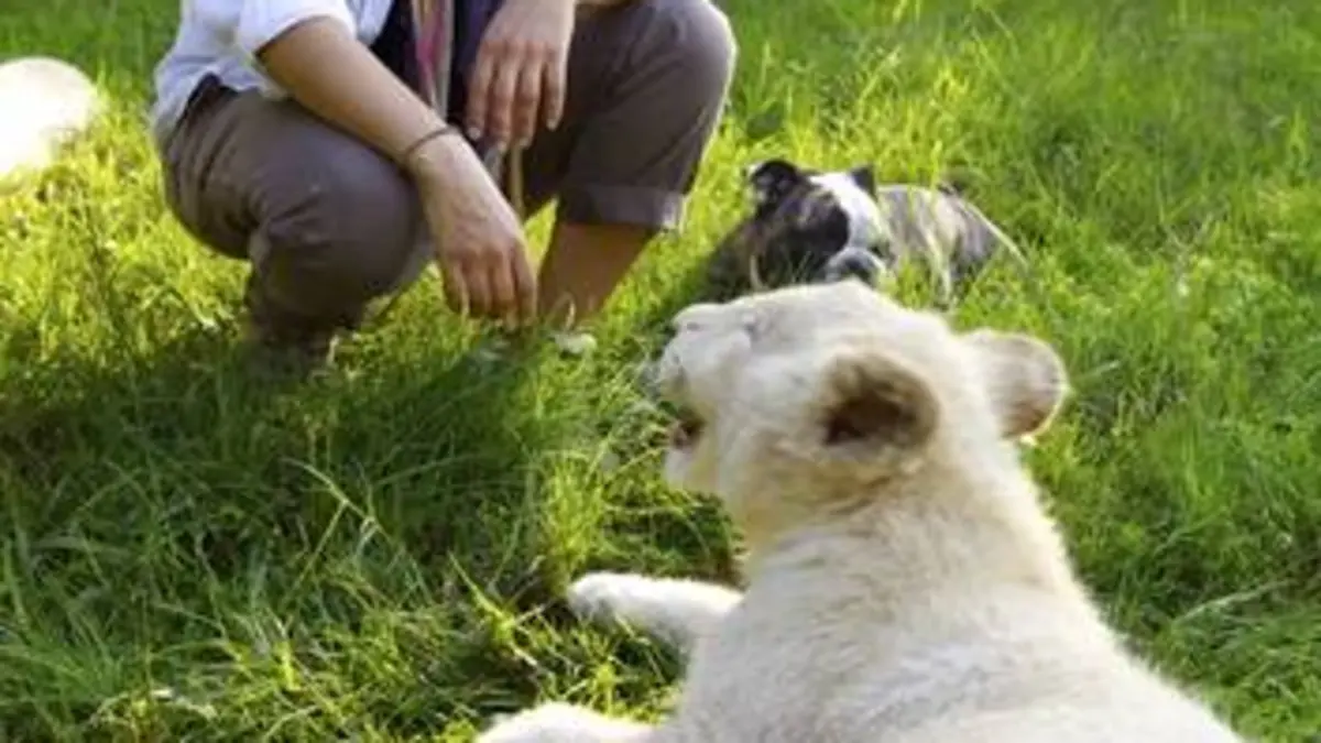 Complicités animales E02