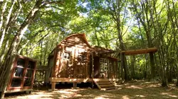 Constructions sauvages