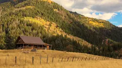 Constructions sauvages