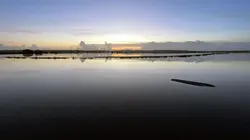 Cotentin, des marais entre terre et mer