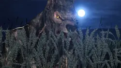 Créatures de légendes Les loups-garous