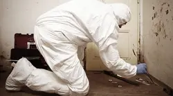 Crimes S01E01 Dans le Grand Est