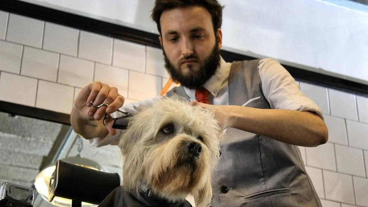 Casting Dans la vie d'un chien