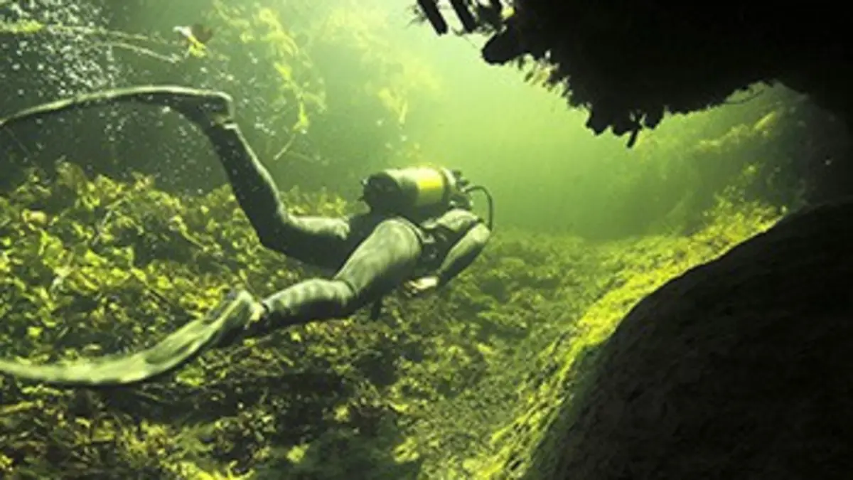 Dans les méandres de l'Okavango