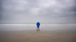 Casting David Attenborough : L'appel de l'Océan