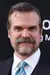 Photo David Harbour