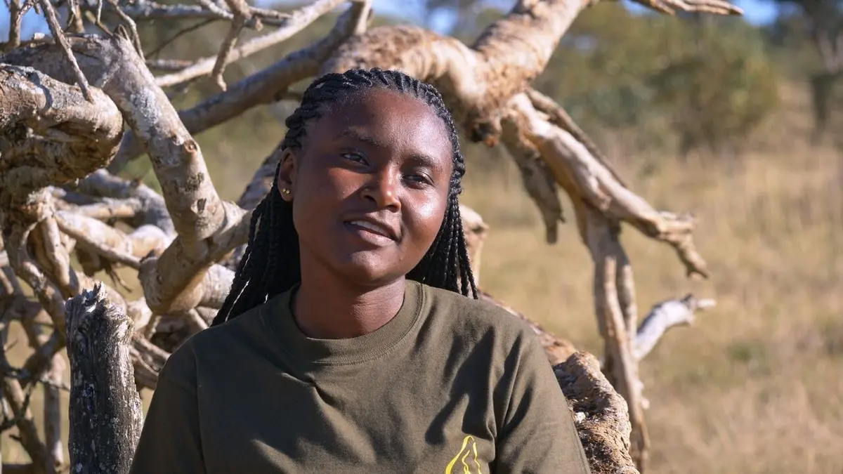Démocraties animales Le peuple gouverne