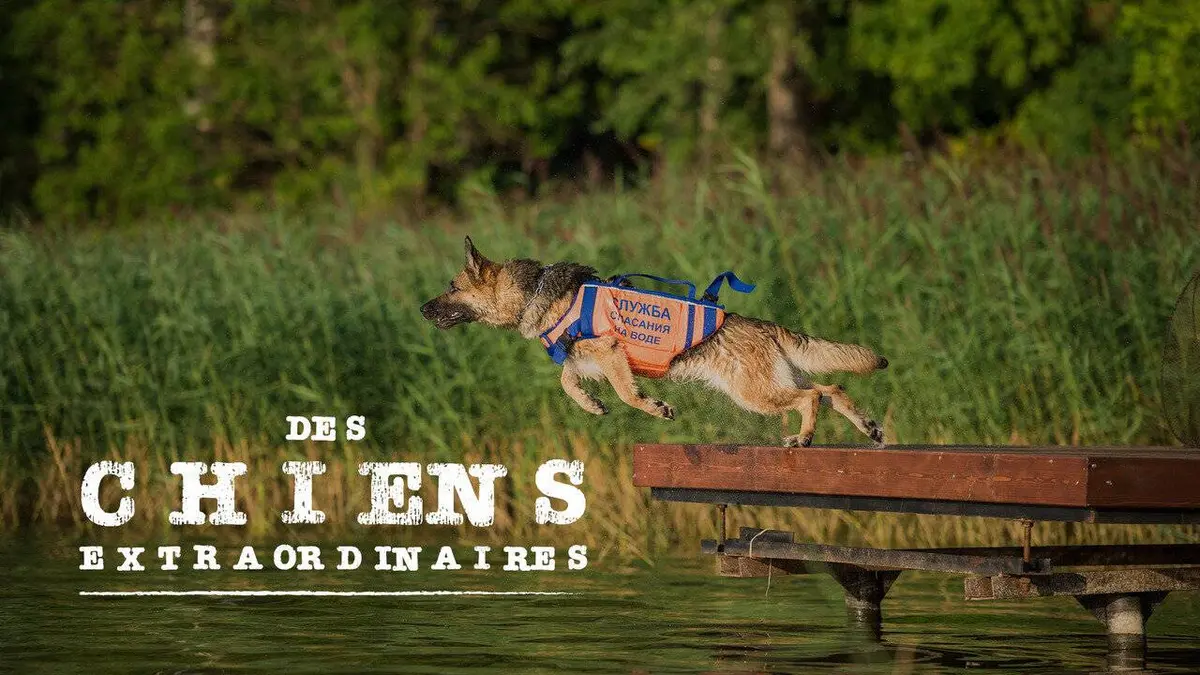 Épisodes de Des chiens extraordinaires