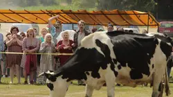 Des mains en or en streaming