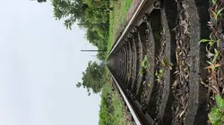 Des trains pas comme les autres Grèce