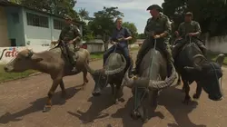 Des trains pas comme les autres Brésil