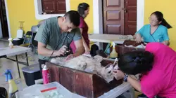 Casting Dr Jeff : super véto Never Give Up