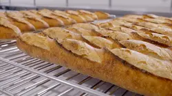 Programme ce soir sur France 5