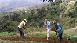 Echappées belles Escale en Martinique