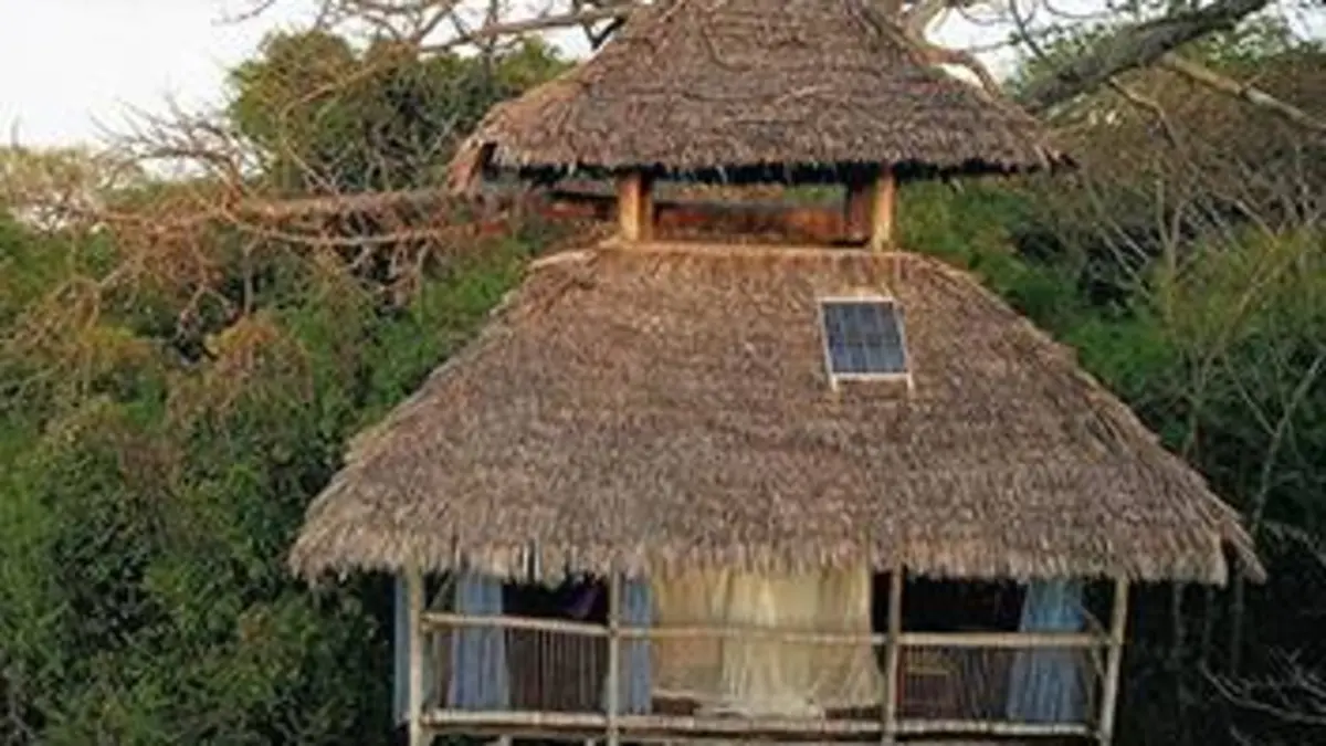 Casting Echo-logis Robins des îles