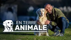 En terre animale Les Mille étangs