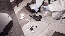 Enquêtes criminelles