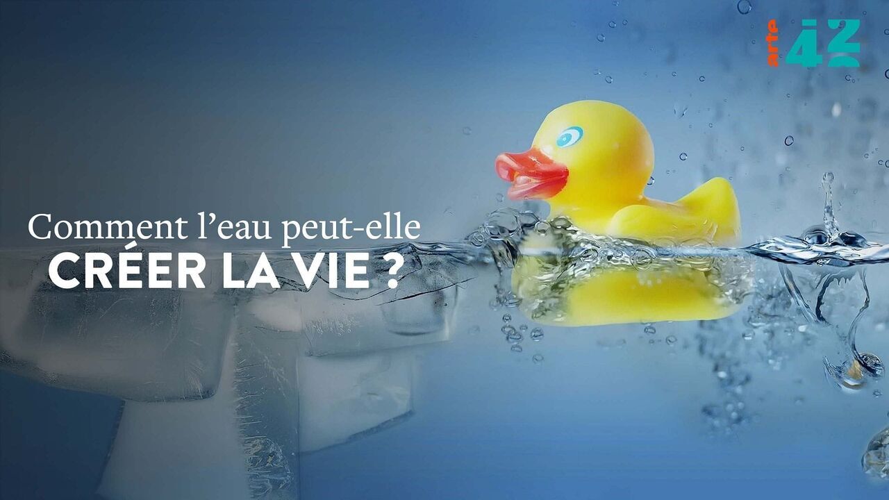 42 La R ponse Presque Tout Comment L eau Peut elle Cr er La Vie 42-la-r-ponse-presque-tout-comment-l-eau-peut-elle-cr-er-la-vie