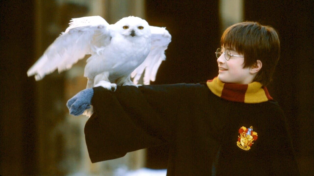 Harry Potter à l'école des sorciers : regarder en streaming