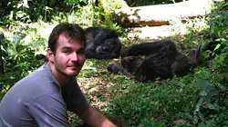 Et le singe inventa la culture