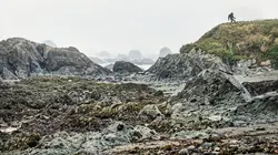 Expedition Bigfoot Nids de géants