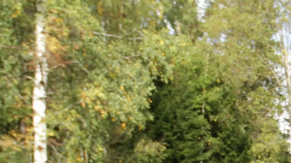 Expériences tous risques S02E10 Inventeurs de génie