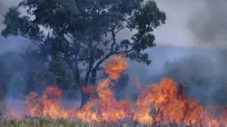 Explorateurs Justine Mettraux