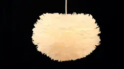 Faites comme chez eux S01E20 Cédric