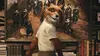 2009 • Fantastic Mr. Fox ⭐ 4.39