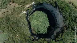 Faune d'Amérique Latine L'Amazonie