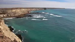 Casting Faune d'Amérique Latine L'Amazonie