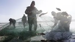 Casting Fear Trip Mongolie