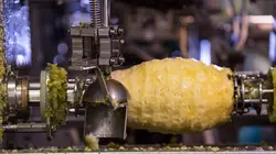 Food Factory Super Caramel Crunch cake