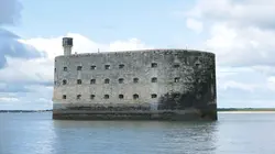 Audiences TV : Fort Boyard
