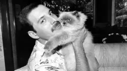 Freddie Mercury, the Great Pretender