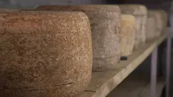 Fromages AOP Le terroir caisse ?