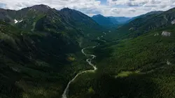 Gardiens de la forêt Mongolie : La vallée des ours
