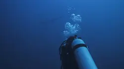 Héroïnes de nature