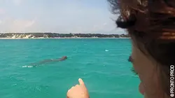 Héroïnes de nature