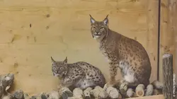 Héroïnes de nature