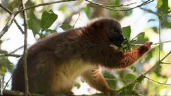 Héroïnes de nature