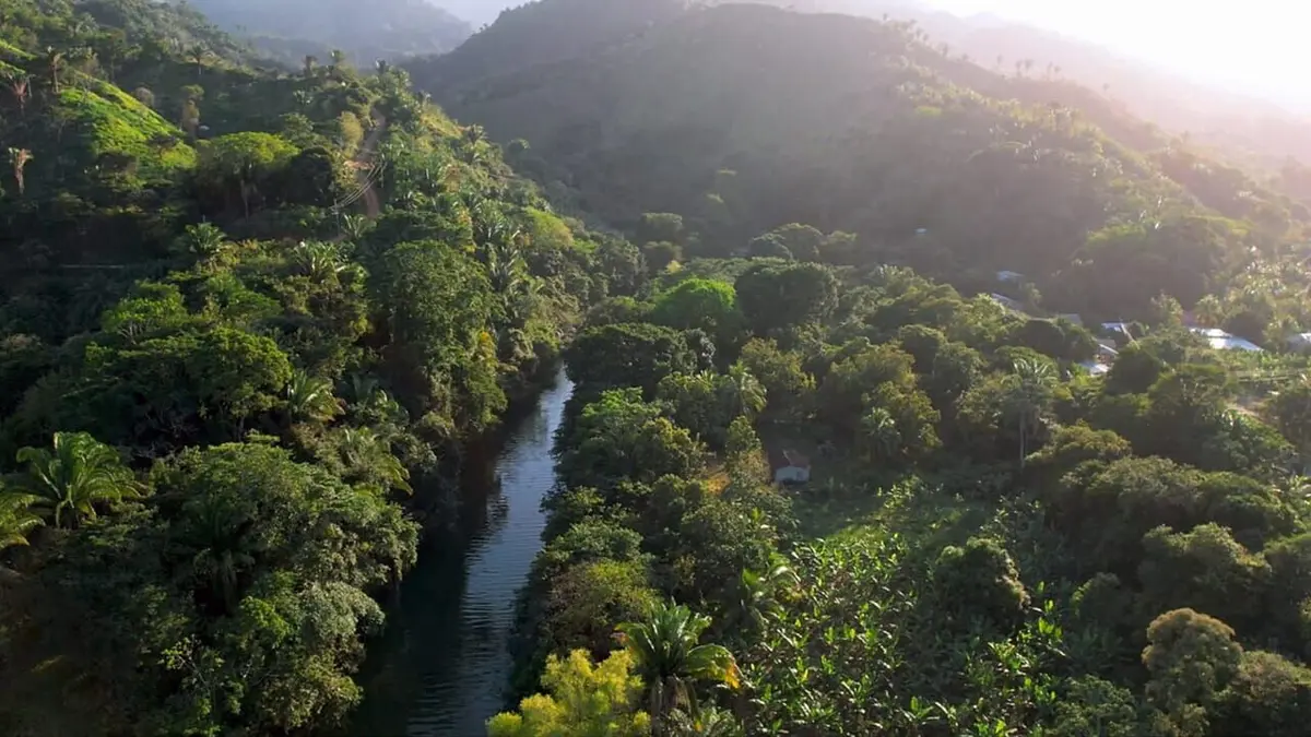 Honduras Vestiges D Une Civilisation Oubli E Documentaire O