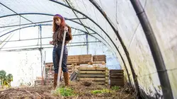 HPI S01E04 Phyllobates terribilis